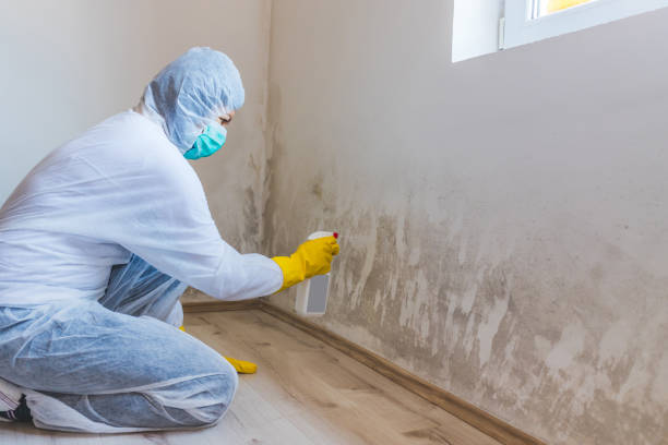 Bathroom Mold Removal assessment in Huntington bathroom